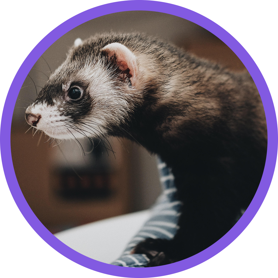 Steve tsang fnpfmhegjh0 unsplash 960x960 circle