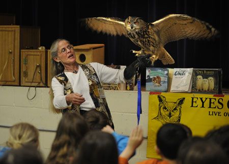 Eyes on owls publicity photo