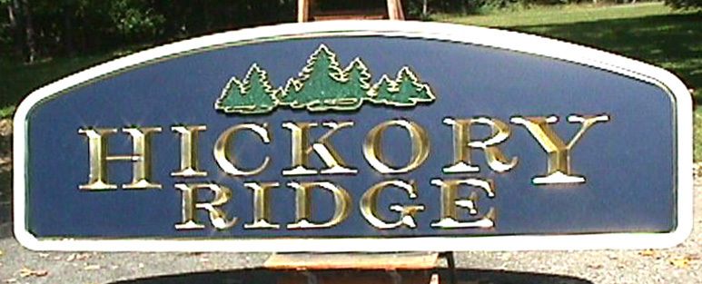 Hickory