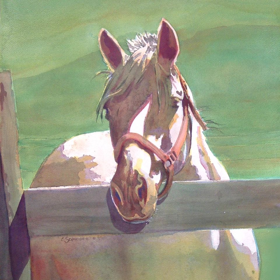 Jefferson's missy lg