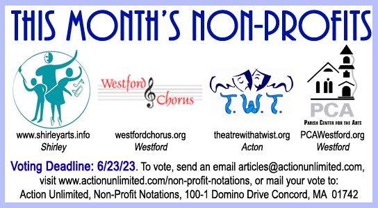 0623 non profit 2x2