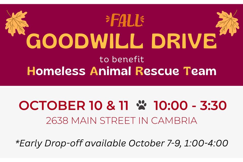 Goodwill drive 2025 (5)