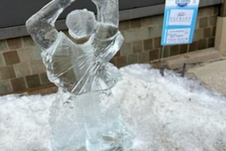 Ice carving 2026 36