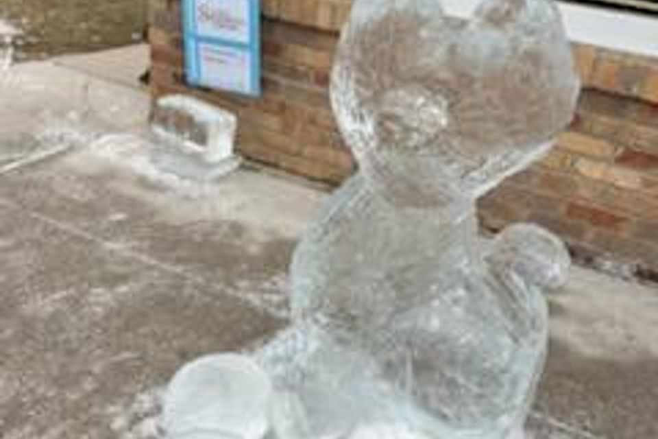 Ice carving 2025 61