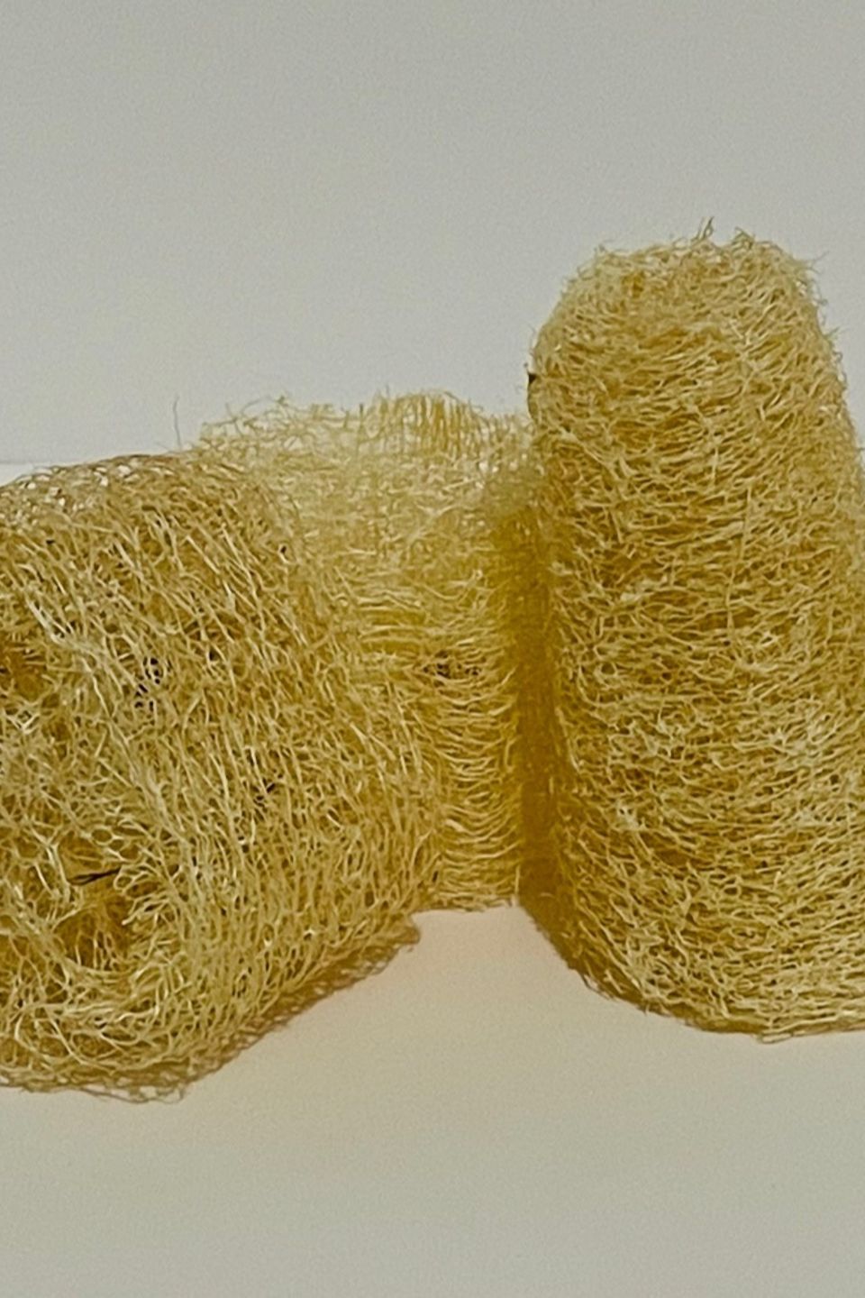 Loofah seeds