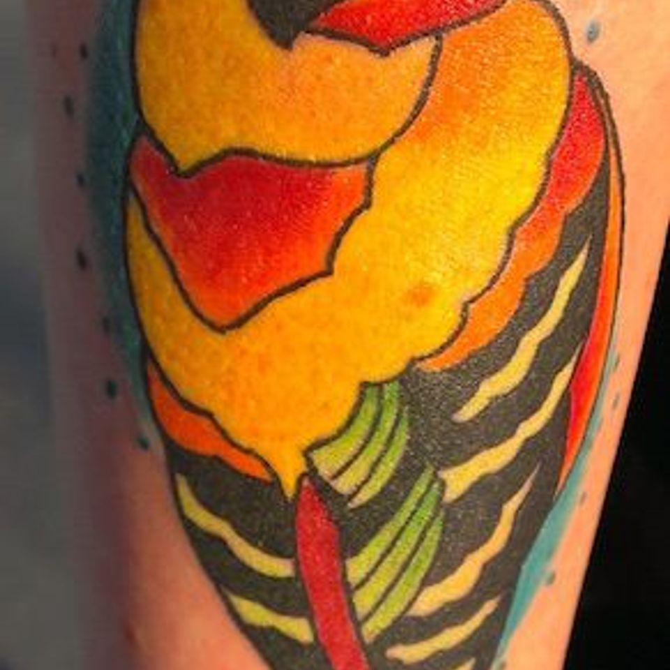 Image029