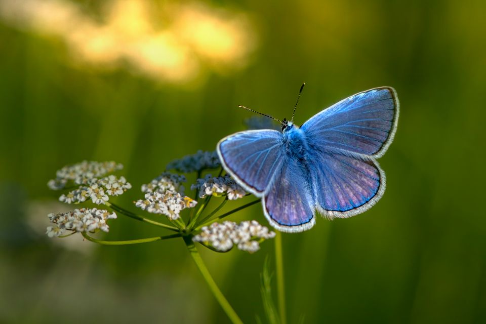 Erik karits e3tzqowh8ia unsplash