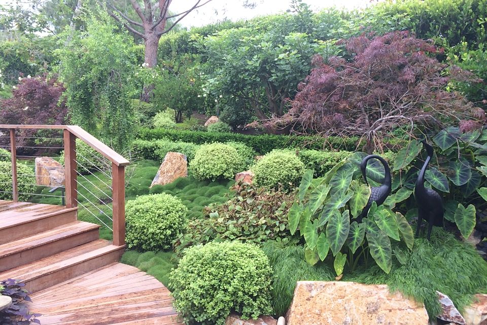 Residential landscape 43