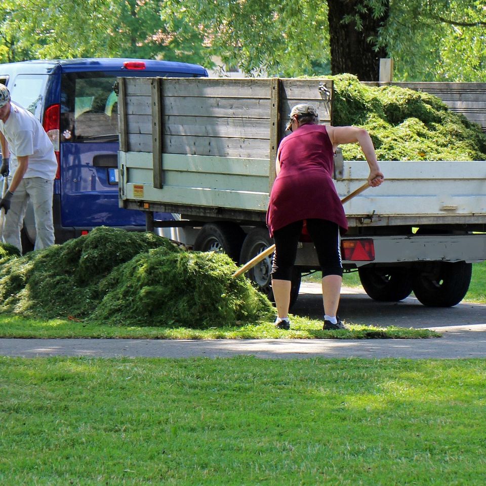 Landscaper gd1c92a948 1920