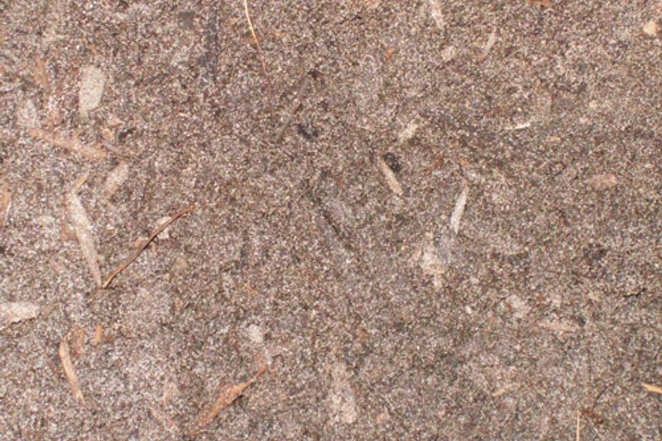 Compost