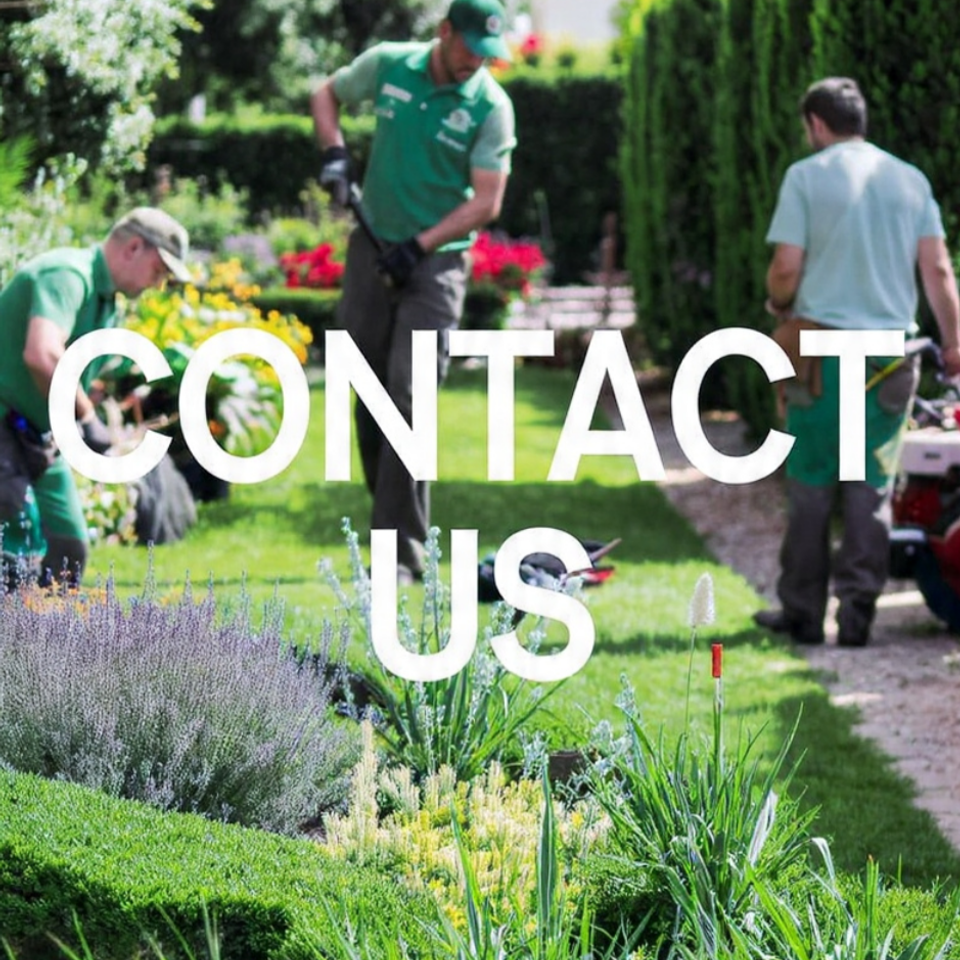 Contact us big red's