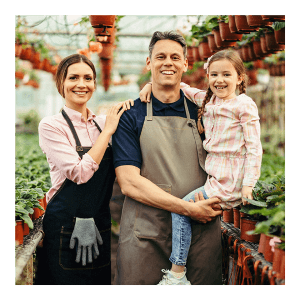 Universal life insurance original