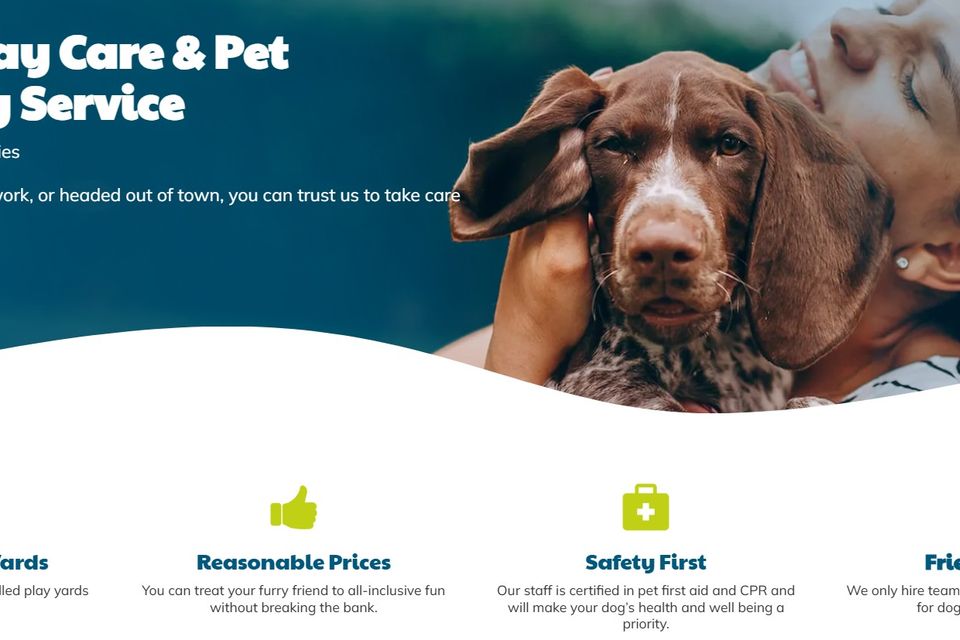 Doggie daycare