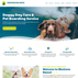 Dog daycare website design template