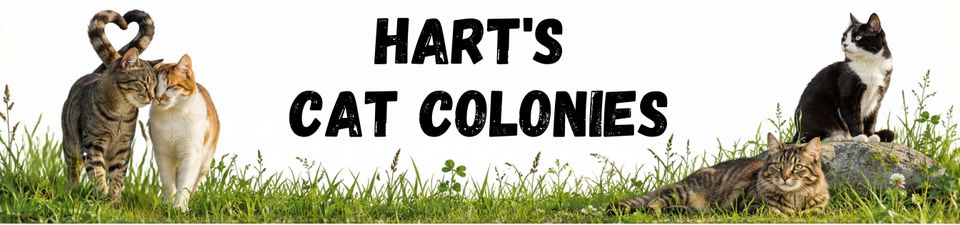 Hart's feral colonies (1)