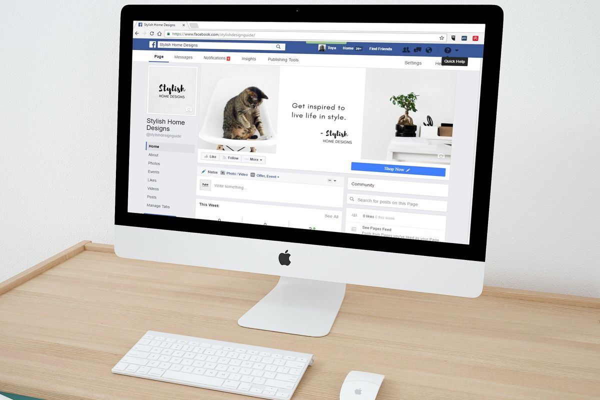 Website design on computer screens