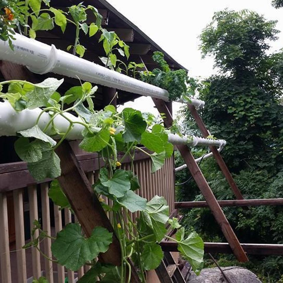 Nft porch2