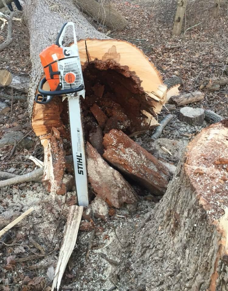 50076727 2081401805273947 3724697060448927744 n