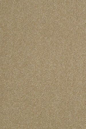 Timeless appeal iii 12'   sahara  5.99