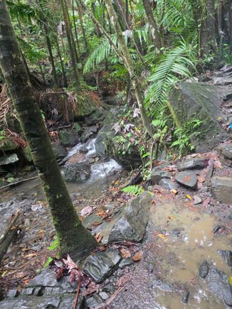 20260603 155648