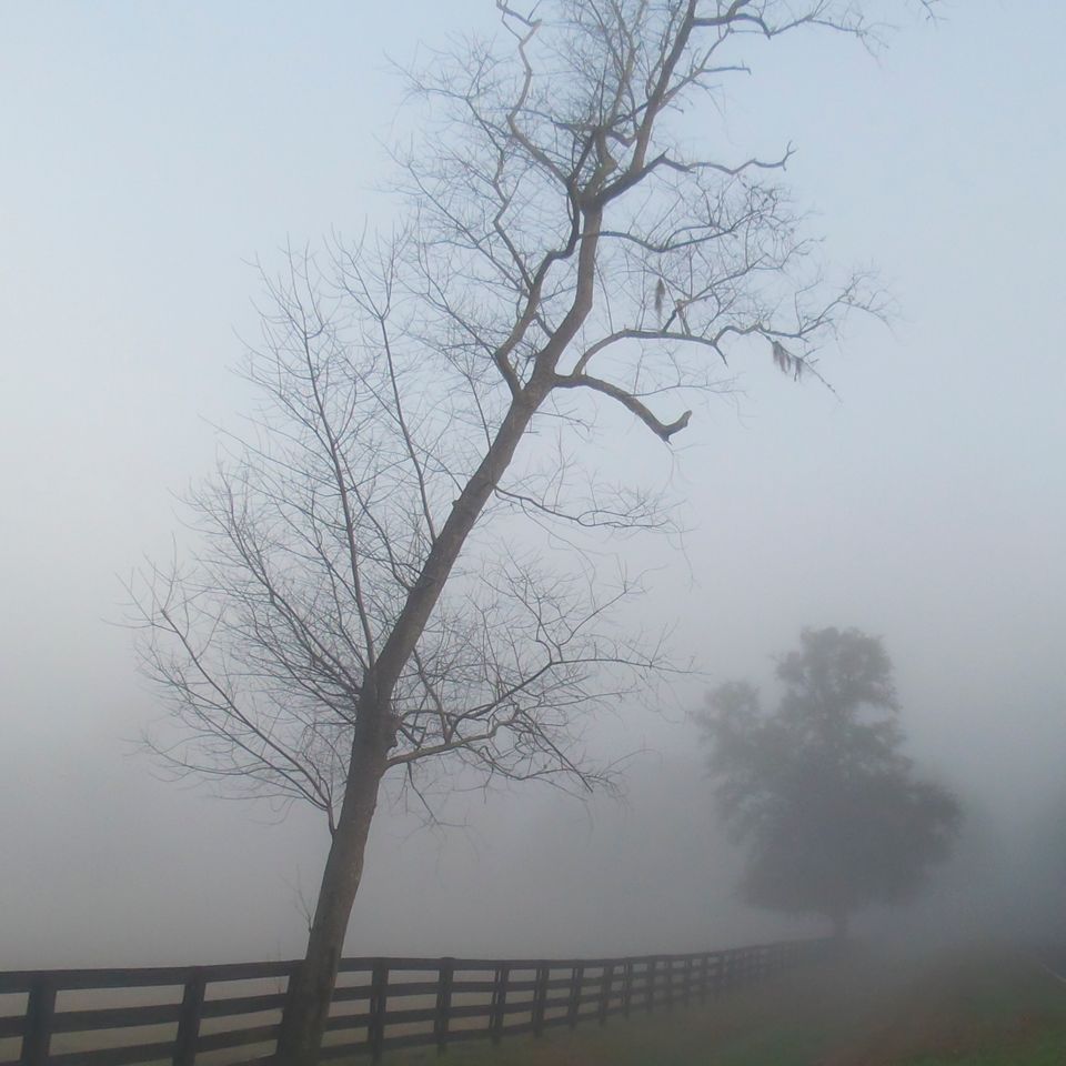 Foggy roads 3