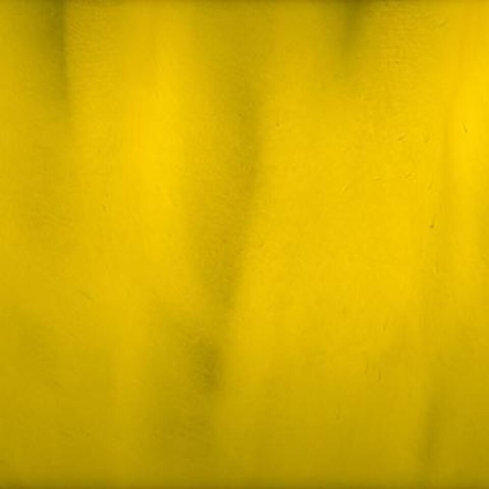 Torginol p1410 banana 960x960