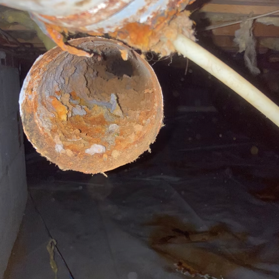 Screen shot 2026 02 27 at 12.11.21 pm