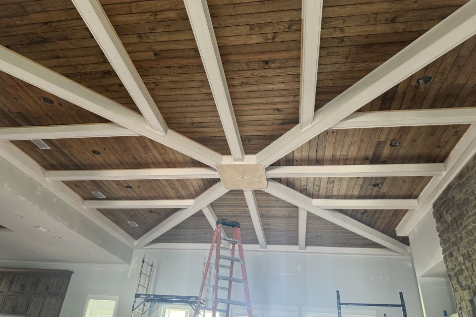 Prestige painting ceiling2