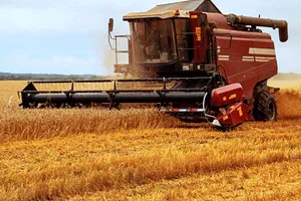 Farm harvesting equipment field