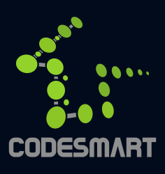 CodeSmart LLC Web Designing Business