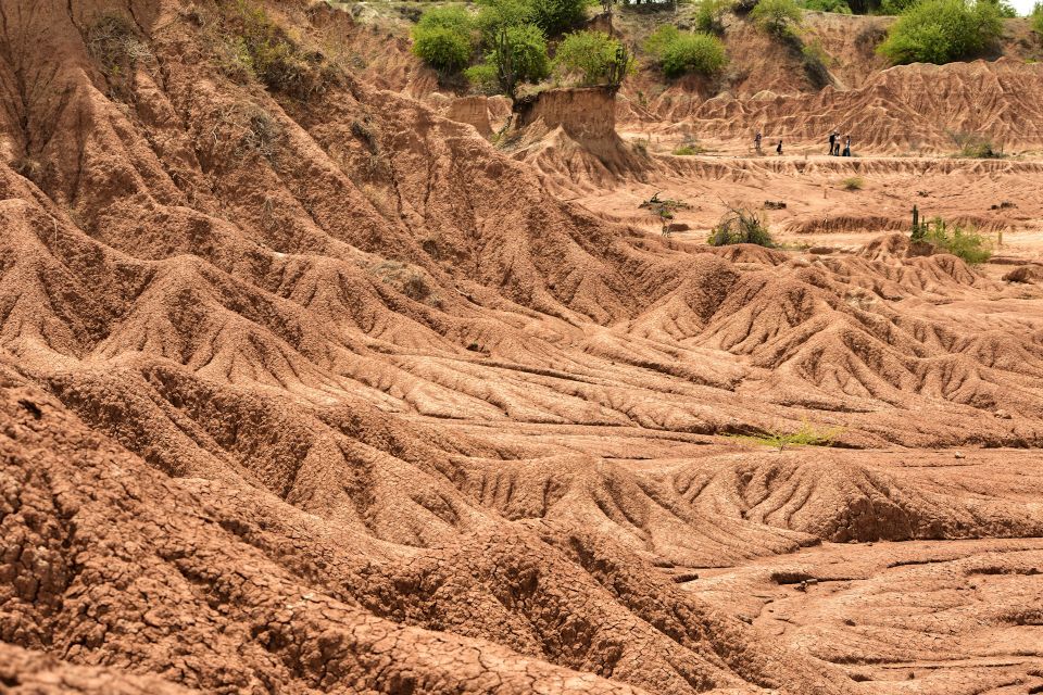 Janet restrepo thddzbqhpba unsplash