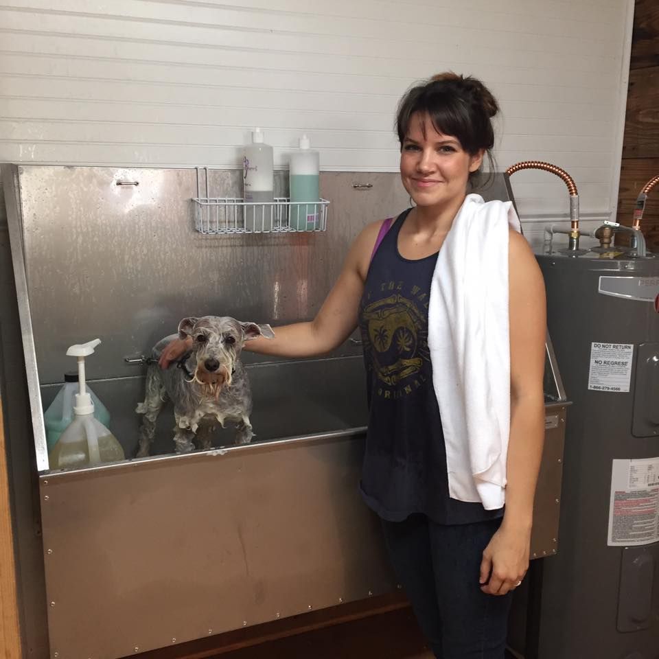 The first dog to be bathed and groomed at the shaggy dog. may 2016