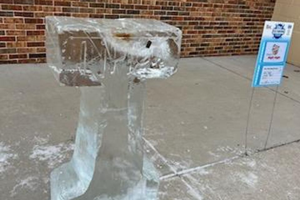 Ice carving 2025 49