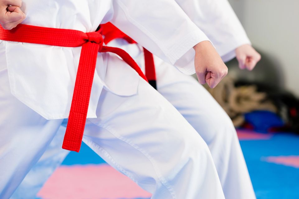 Karate students practicing the downblock position during karate class