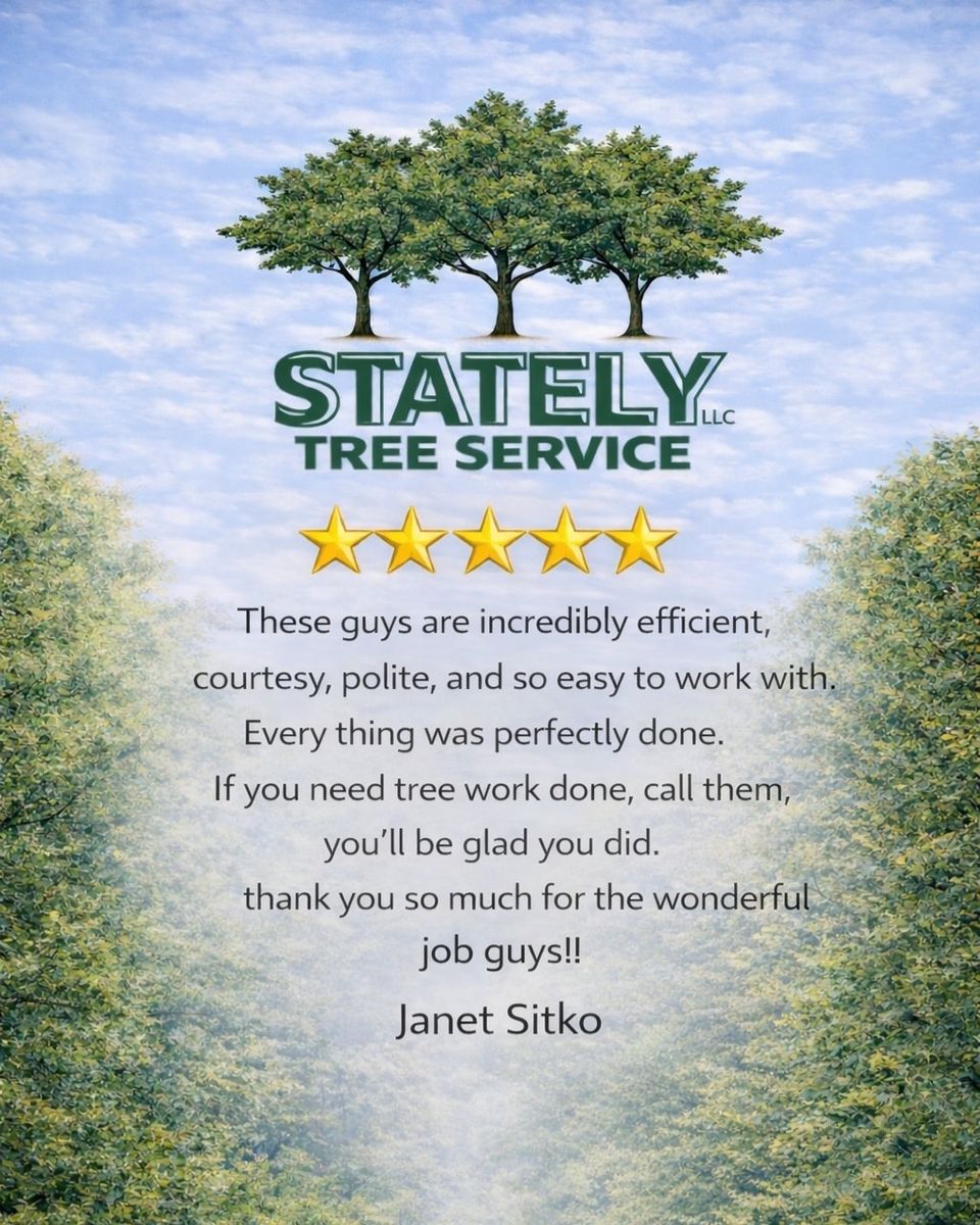 Testimonial janet sitko