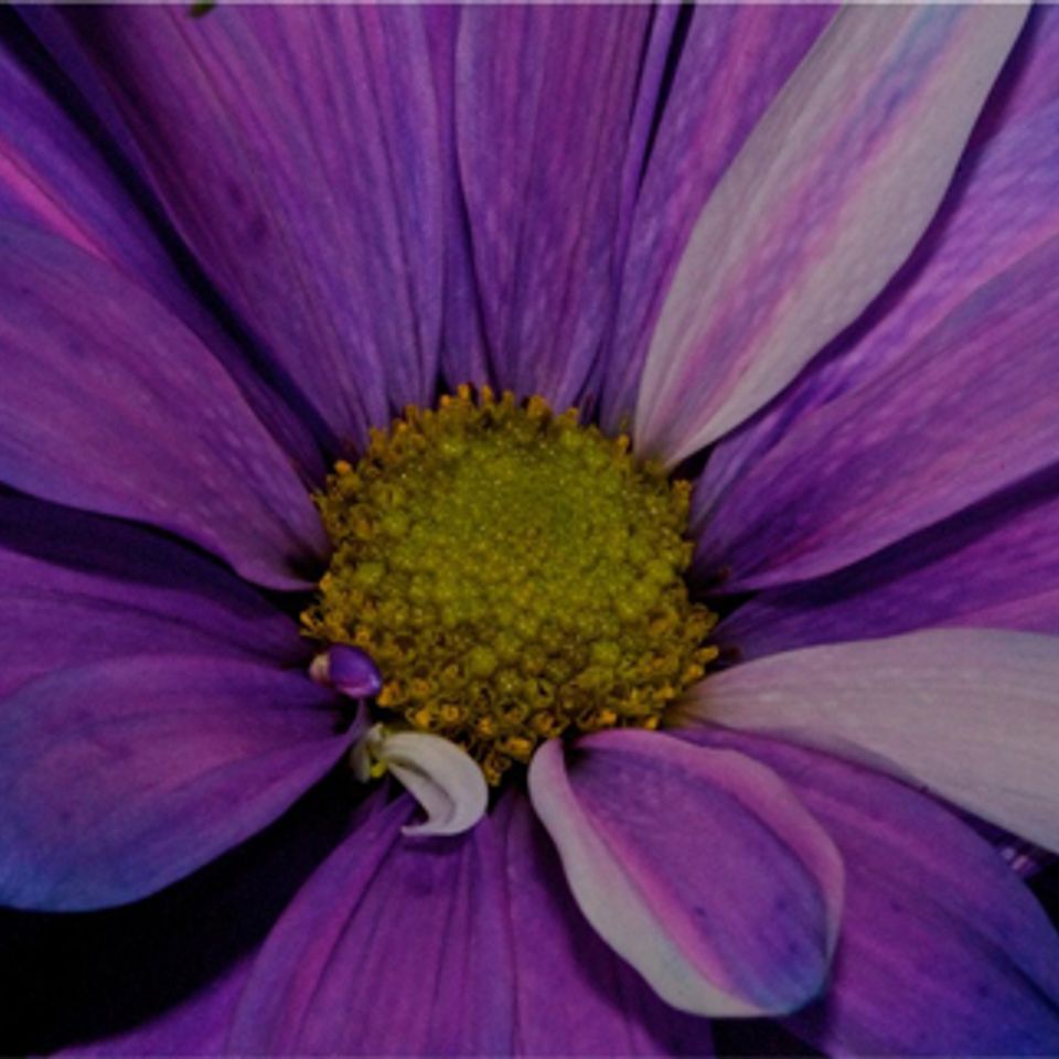 Nature2