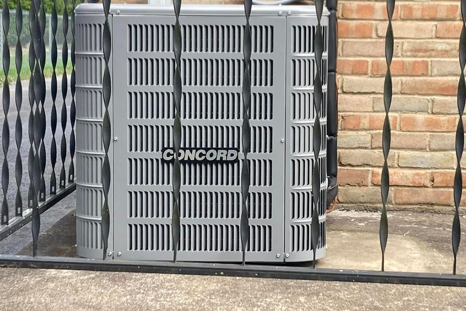 461159708 122110534214514885 3366485391569258243 n