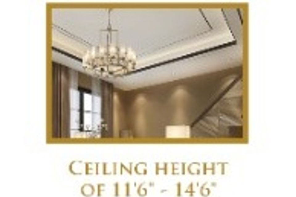35. ceiling height of 11'6   14'6