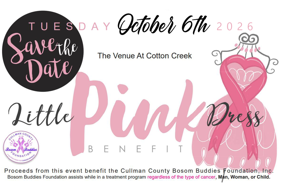 Little pink dressl copy