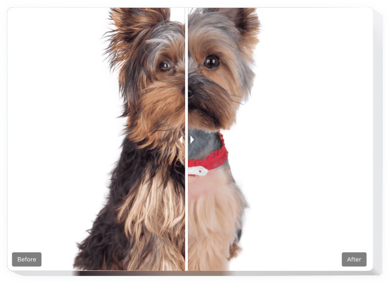 Before and after slider website launcher
