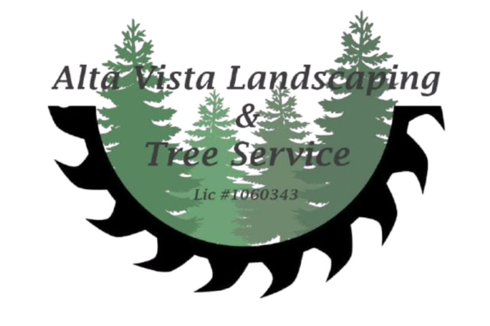 Official logo for Alta Vista Landscaping & Tree Service, featuring a woodcutter saw blade and pine tree silhouettes, licensed California contractor #1060343.