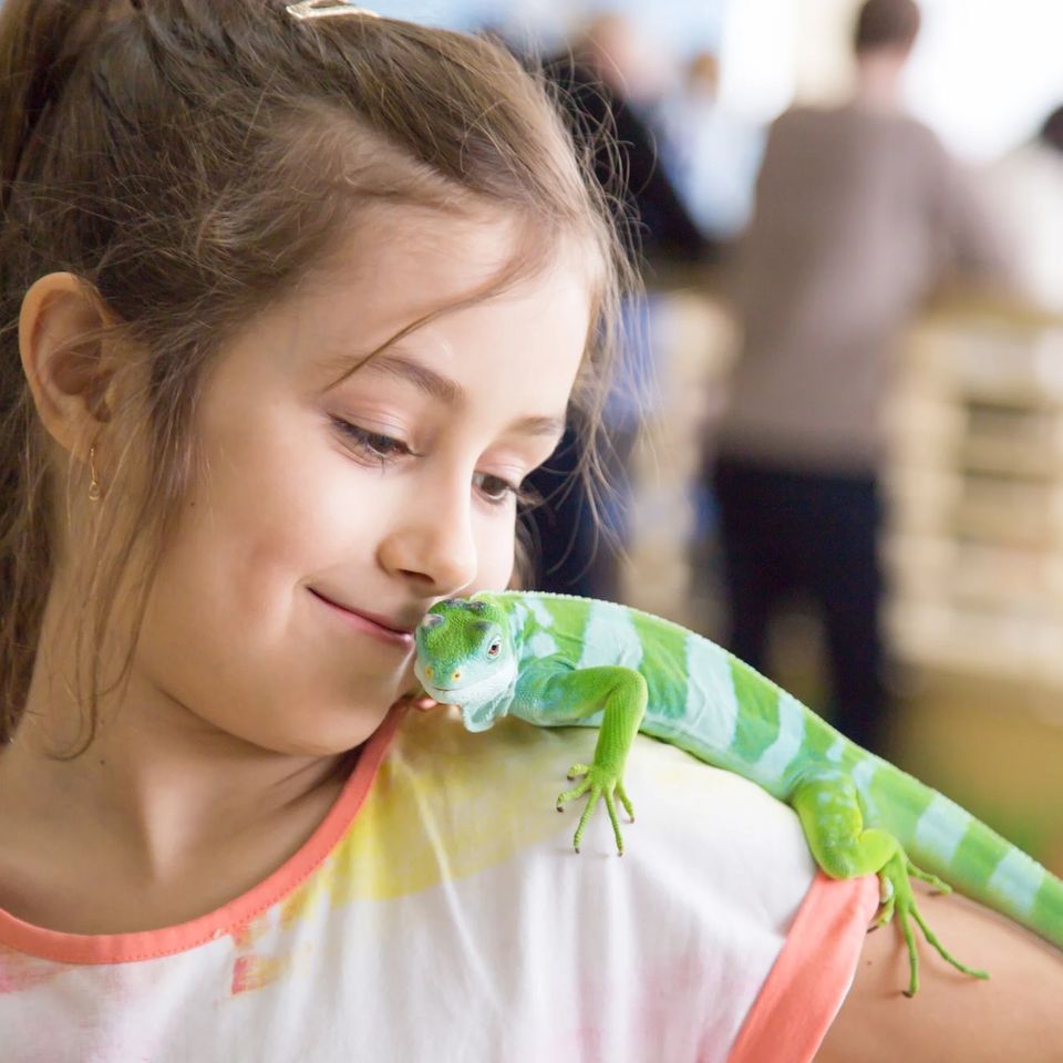 Mobile Petting Zoo Parties