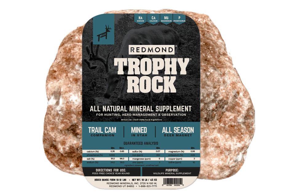 10lb rock mockup 1024x1024 2x