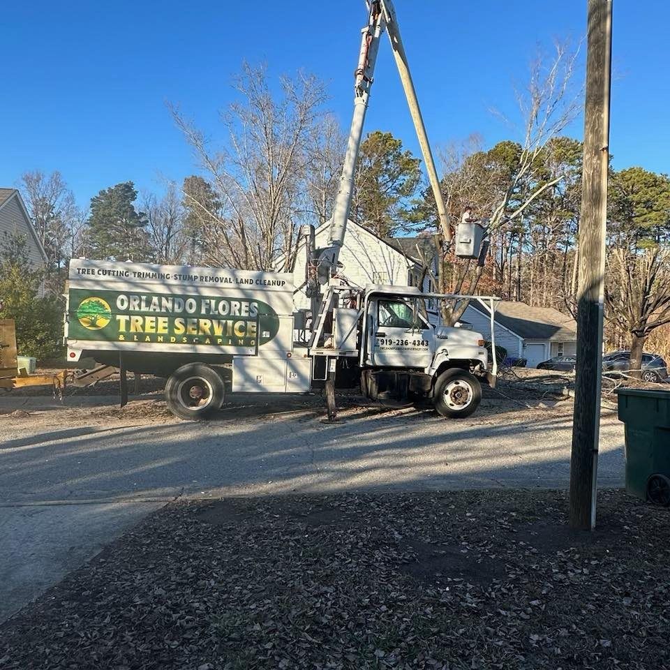Flores Tree Service, Tree Removal near Durham NC, Tree Services near Durham NC, Tree Trimming, Tree Pruning, Stump Grinding, Flores Tree Service in Durham NC, Tree Services Near Me, 
