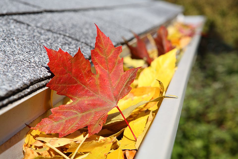 Bigstock rain gutter full of leaves 4222402