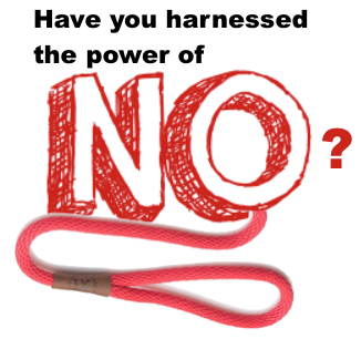 The power of no graphic