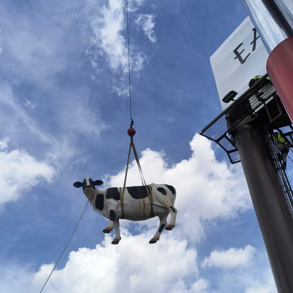Proffessional rigging services