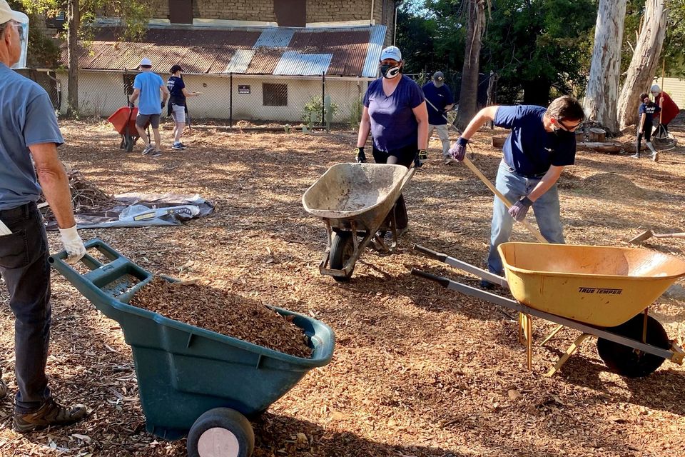 Volunteers 11 20 1