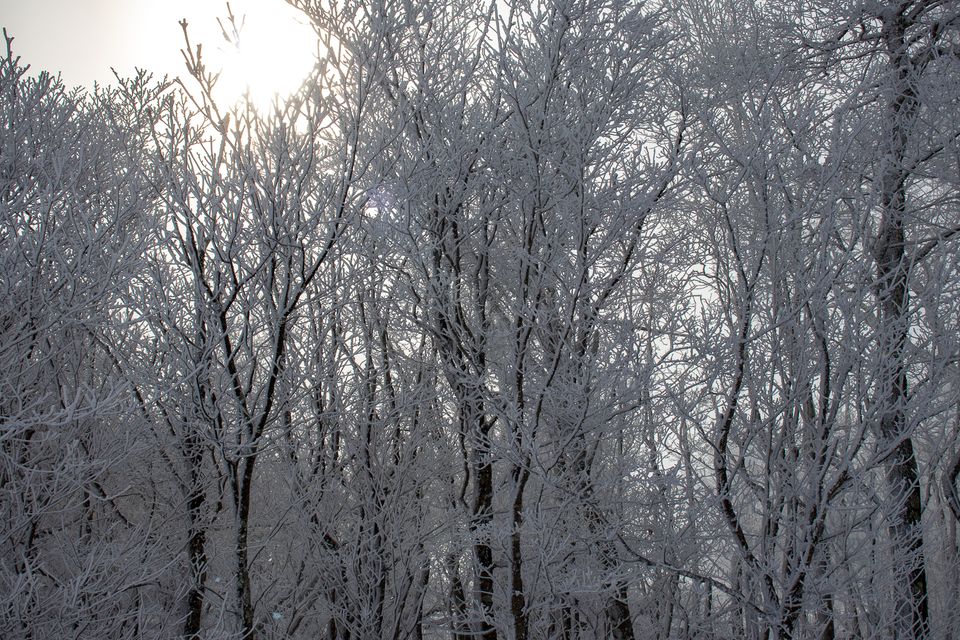Snow trip 14
