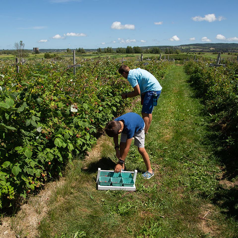 Bloir family farm 4